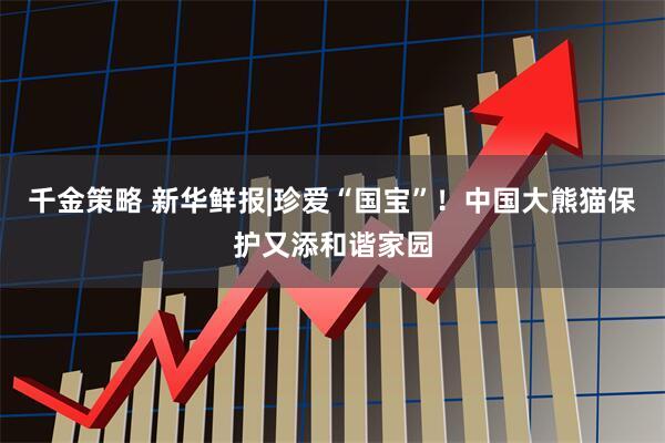 千金策略 新华鲜报|珍爱“国宝”！中国大熊猫保护又添和谐家园