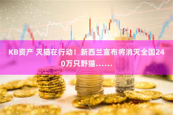 KB资产 灭猫在行动！新西兰宣布将消灭全国240万只野猫……