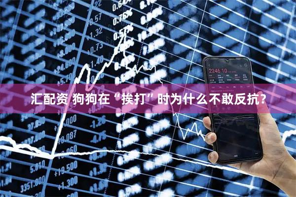 汇配资 狗狗在“挨打”时为什么不敢反抗？