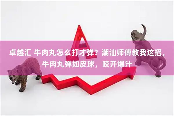 卓越汇 牛肉丸怎么打才弹？潮汕师傅教我这招，牛肉丸弹如皮球，咬开爆汁