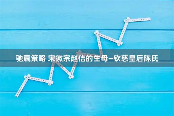 驰赢策略 宋徽宗赵佶的生母—钦慈皇后陈氏