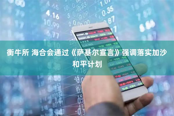 衡牛所 海合会通过《萨基尔宣言》强调落实加沙和平计划