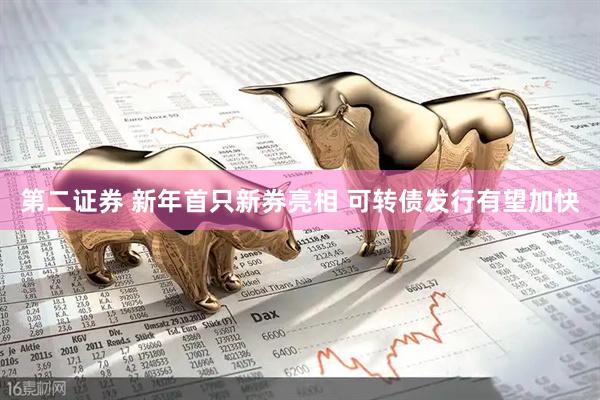 第二证券 新年首只新券亮相 可转债发行有望加快