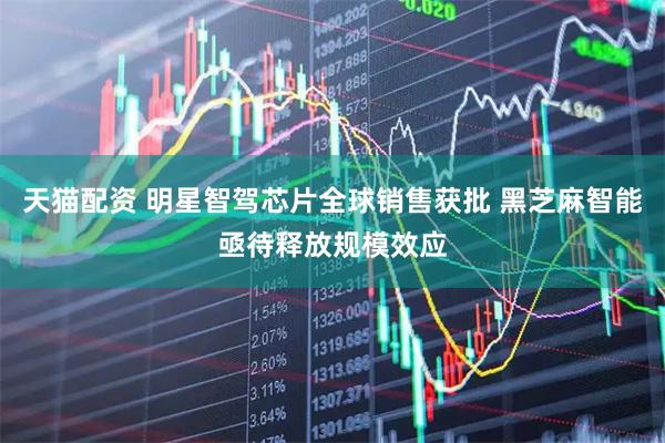 天猫配资 明星智驾芯片全球销售获批 黑芝麻智能亟待释放规模效应