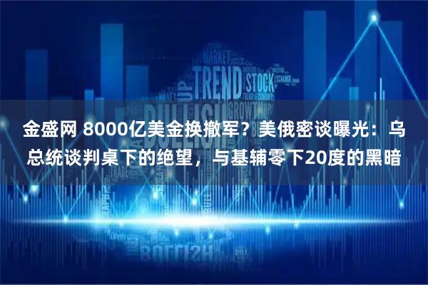 金盛网 8000亿美金换撤军？美俄密谈曝光：乌总统谈判桌下的绝望，与基辅零下20度的黑暗