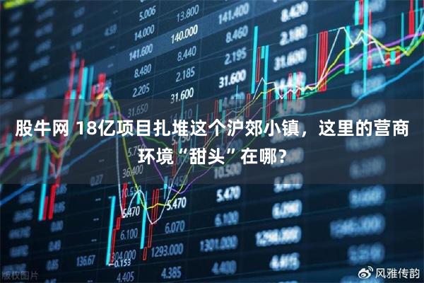股牛网 18亿项目扎堆这个沪郊小镇，这里的营商环境“甜头”在哪？